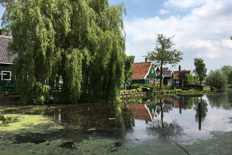 Digital agency buckle up in Amsterdam